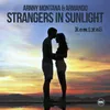 Strangers in Sunlight Sword Remix