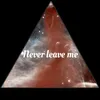 About Never Leave Me Song