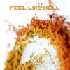 About Feel Like Hell Song