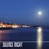 Silence Night