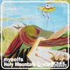 Holy Mountain Stefano Malleani Remix