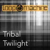 About Tribal twighlight Original Song