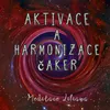 About Aktivace a harmonizace čaker Song