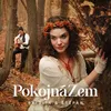 About Pokojná zem Song