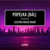 Tři Oříšky Pro Popelku (Bál) Electro House Remix