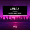 About Arabela Electro House Remix Song