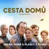 About Cesta domů - lesní Song