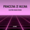 About Princezna Ze Mlejna Electro House Remix Song