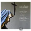 Stabat Mater, Op. 58: Stabat Mater dolorosa