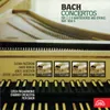 Concerto for 4 Harpsichord and Orchestra in A Minor: I. -