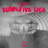 About Sumnjiva Lica Song