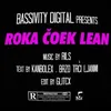 About Roka Čoek Lean Song