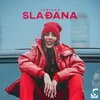 About Slađana Song