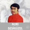 Urfa'nın Demir Tahtı