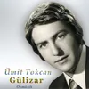 About Gülizar Song