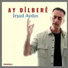 About Ay Dilbere Song
