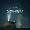 Okyanuslar