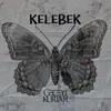 About Kelebek Song