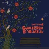 About Günlerden Bi Yalnızlık Song