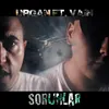 About Sorunlar Song