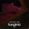 About Hangimiz Song