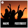 About Feestbeest Song