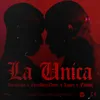 La Unica Instrumental