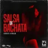 Salsa Of Bachata