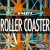 About Roller Coaster Song