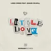 About Little Love Song
