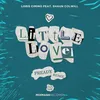 About Little Love Song