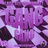 About Gang Gang Song