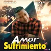 About Amor sin sufrimiento Song