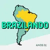 About Brazilando Song