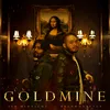 About Goldmine Song