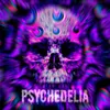 About PSYCHEDELIA Song