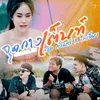 About จุดกางเต้นท์ Song