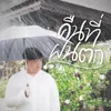 About คืนที่ฝนตก Song