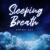 About Sleeping Breath Song