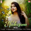 About Neekosam Song