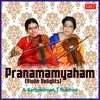 Swaminatha Instrumental