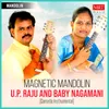 Sri Raghukula Instrumental