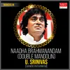 Bharatha Samudayam Instrumental