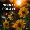 About Minnal Polave Song