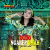 About Dudo Ngarep Omah Song