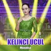 About Kelinci Ucul Song