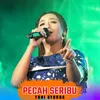 About Pecah Seribu Song