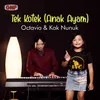 About Tek Kotek Anak Ayam Song