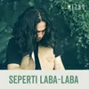 Seperti Laba Laba