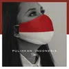 About Pulihkan Indonesia Song